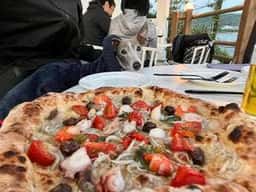 TRATTORIA PIZZERIA 207
