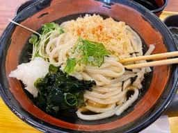 こしまるうどん