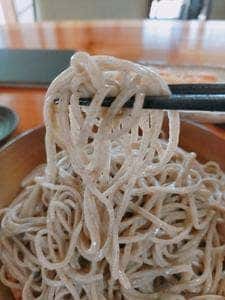 成田 虎智庵