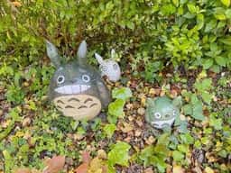 ピッツェリア アウストロ