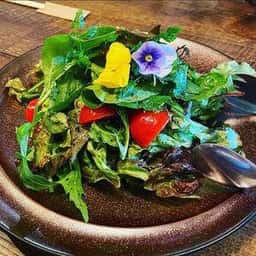 ハンバーグを食べる日