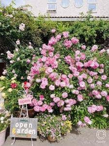 ラファミーユスユクル