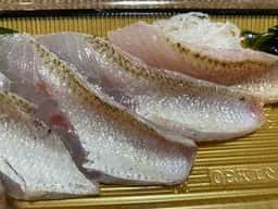 鮮魚 丸松 福井本店