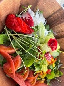 GRAND CHARIOT TERRACE