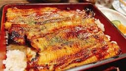 鰻のひろ田