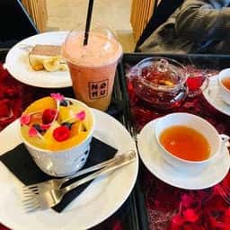 ニコライバーグマン ノム