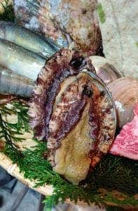 ろばた焼童子