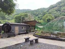 竹泉