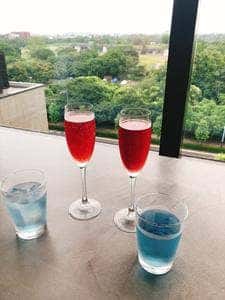 THE Dragonfly BAR