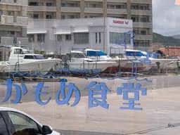 かもめ食堂