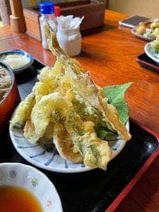 そば処 村の茶屋