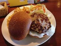 Hawaiian Diner Mountain☆Q