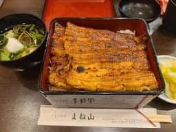 うなぎ料理 よね山
