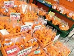 ジュースバー 中西商店