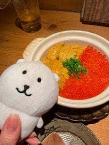 魚輝