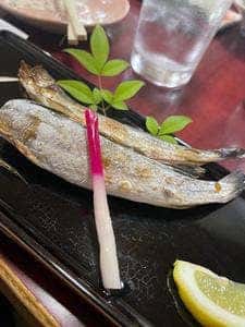 はこだて
