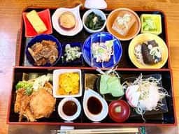 菜菜