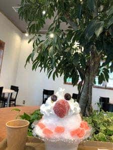 cafe & blomster 安城産業文化公園デンパーク