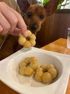 ポプズ