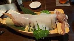 兎屋
