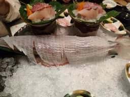 雅しゅとうとう