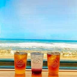 魚屋食堂&カフェ~シーフードコート白渚 南房総和田白渚