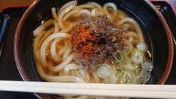 春の家うどん