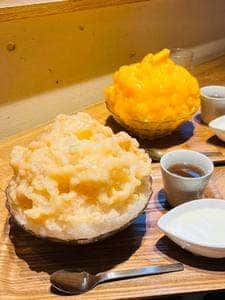 カフェ クノップゥ