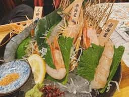旨い魚と旨い酒 海老の世界