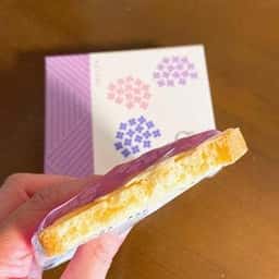 鎌倉紅谷 ららぽーと横浜店