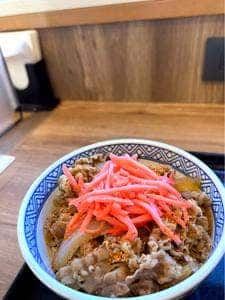 吉野家 230号線藻岩店