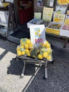 つぼちゃ 川原家横丁店