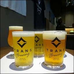 CRAFT PUB BRIAN BREW