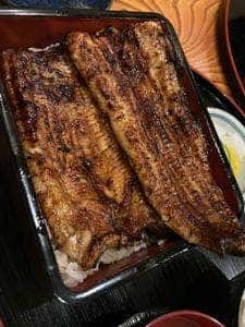くしだ