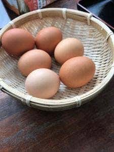 ごはん亭