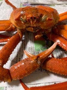 安田水産
