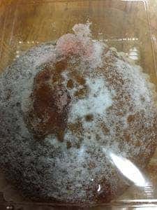 リトルマーメイド 児島天満屋店