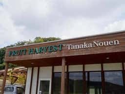 ブドウカフェ FRUIT HARVEST 田中農園