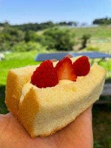 クルックフィールズ シフォン
