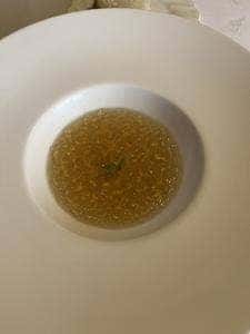 麤皮