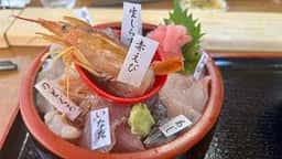 食彩 太信