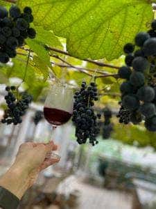 ココ・ファーム・カフェ