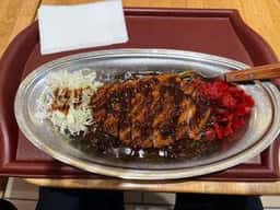 ゴーゴーカレー 溝の口ノクティプラザパーク店