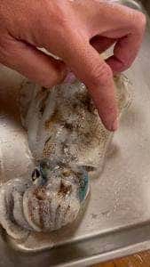 シャック ビッグハウス