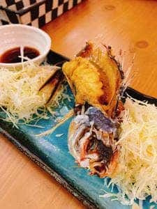 民謡居酒屋 かなさんどー