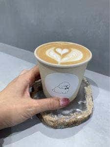 POOL cafe