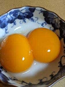 うみたてたまご 卵菓屋