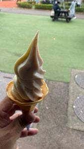 ソフトクリームCAWBELL 田園プラザかわば