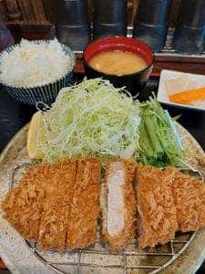 とんかつ トンテキ たつまきや