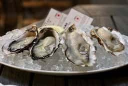 Daliguadalupe Terrace House